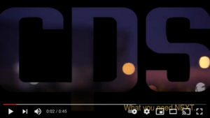 CPS Leak Seeker LS2